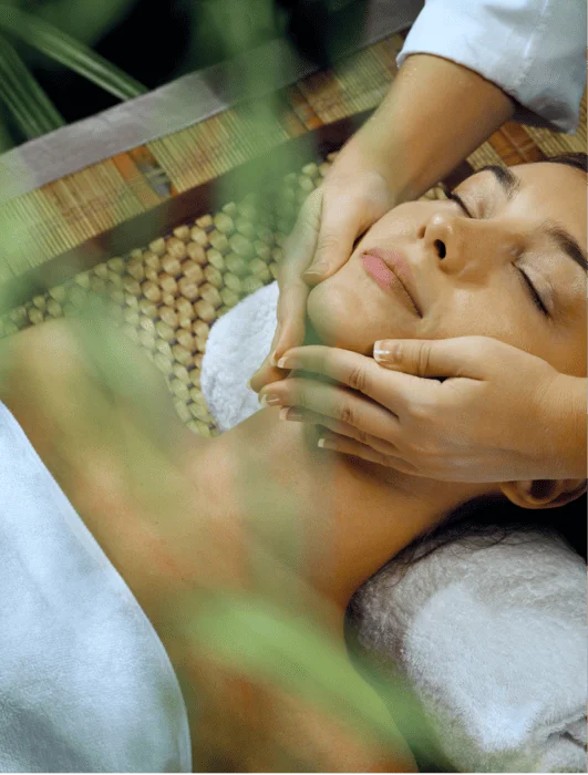 teparias-para-adultos-mayores