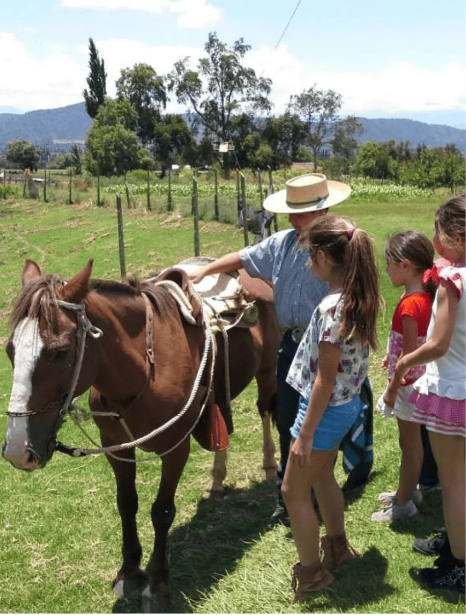 paseo-a-caballo-de-colegios