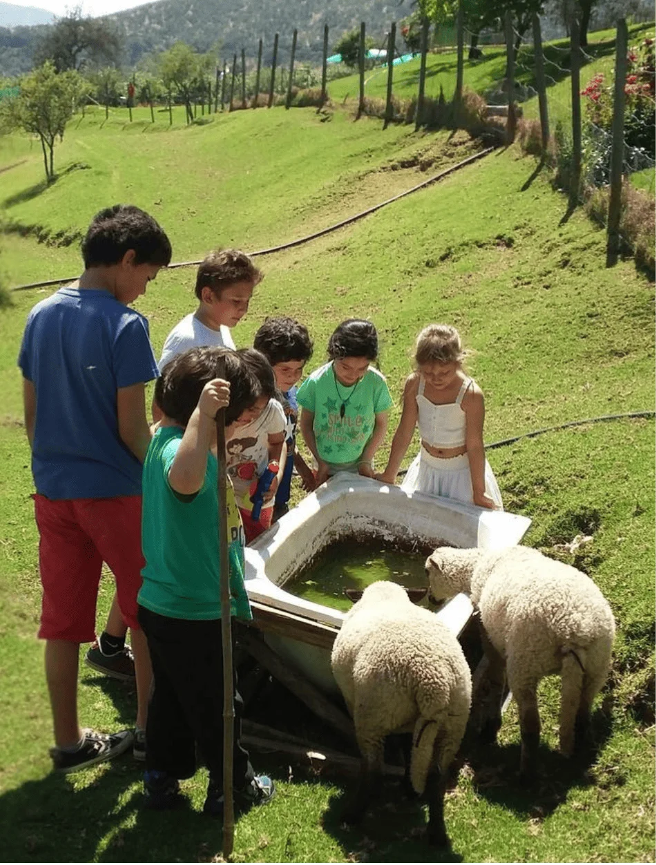 paseo-de-curso-granja-educativa