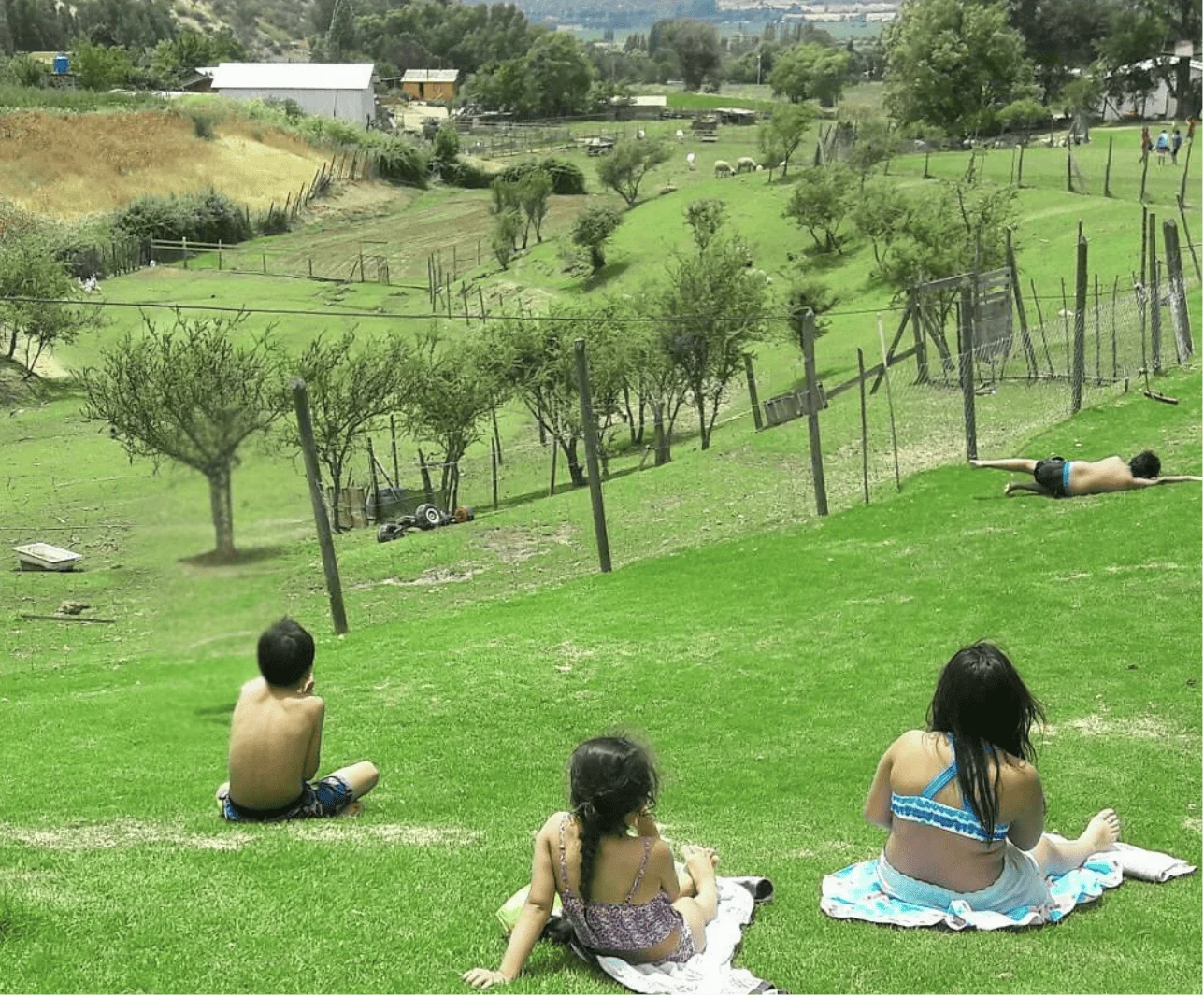 paseo-de-curso