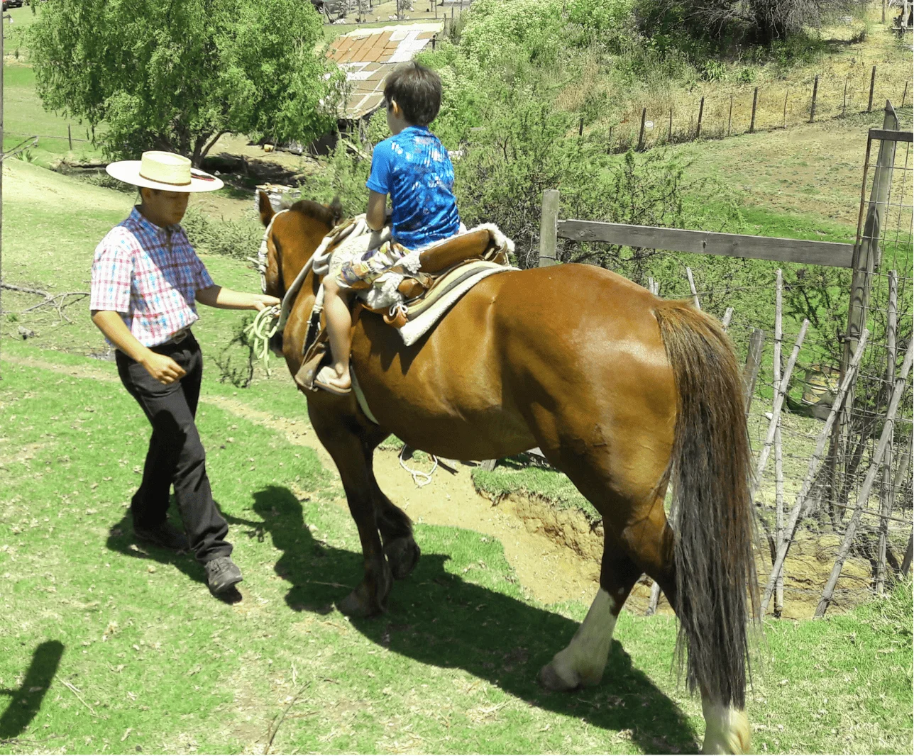 outdoor-colegios-paso-a-caballo