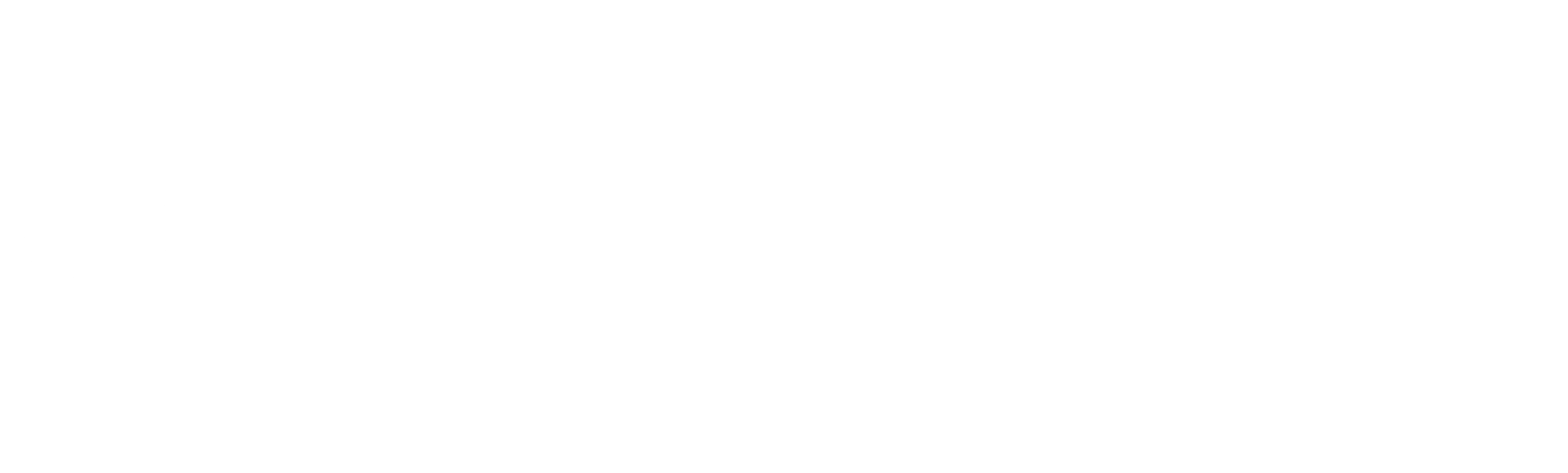 Adulto Mayor