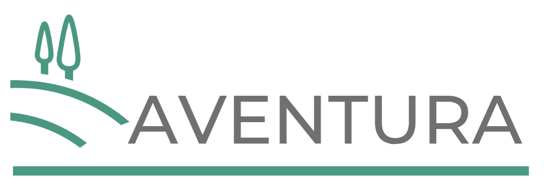 Aventura
